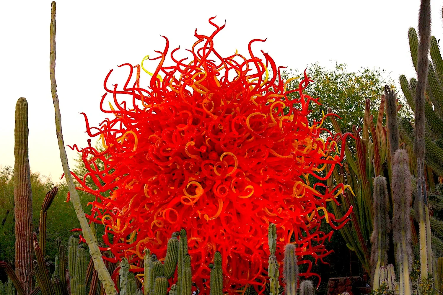 Red, orange, and yellow glass sculpture by Dale Chihuly