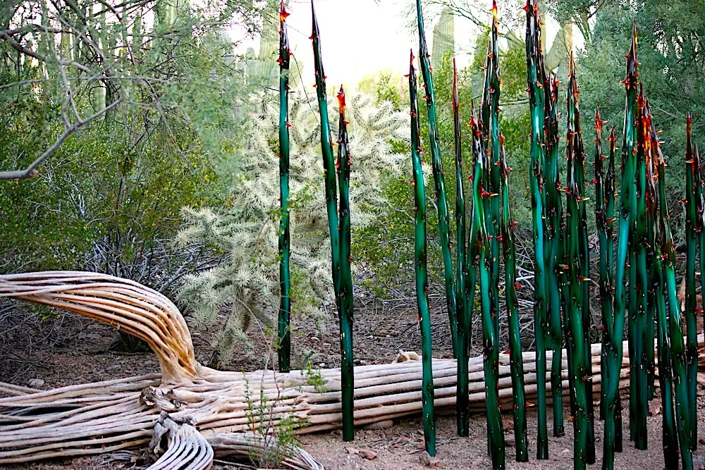 green and red pointy glass sculptures by Dale Chihuly