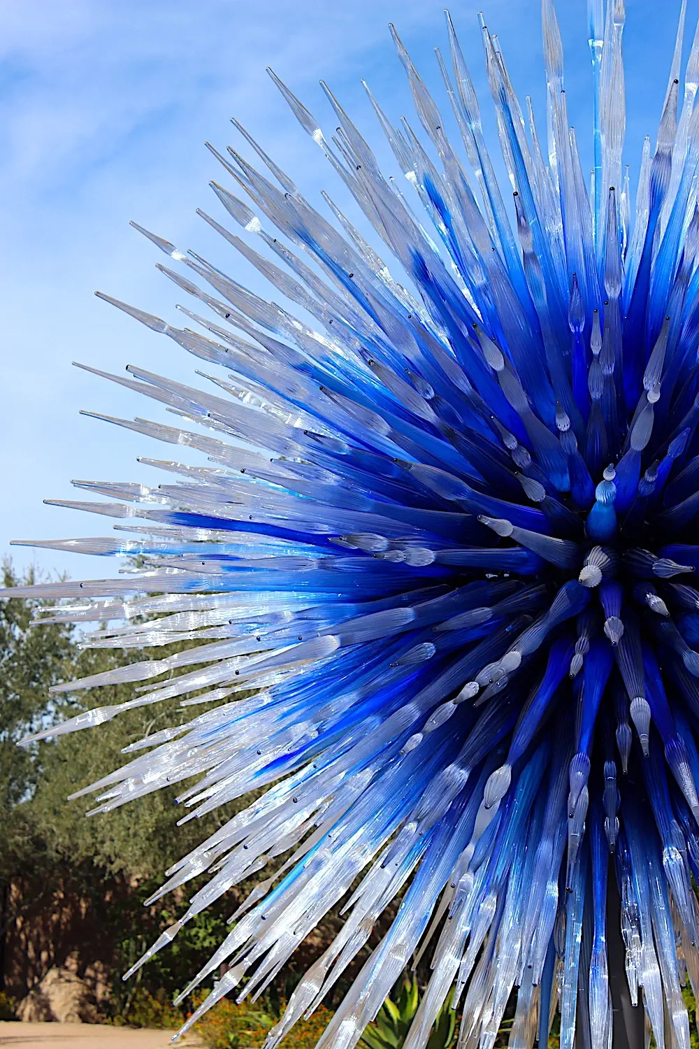 blue and white pointy glass sculpture by Dale Chihuly